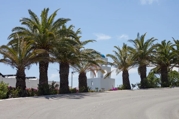 Белое здание с голубой крышей и пальмами вдоль дороги на острове Родос в Греции — стоковое фото