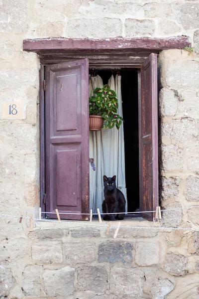 Gato preto sentado na janela — Fotografia de Stock
