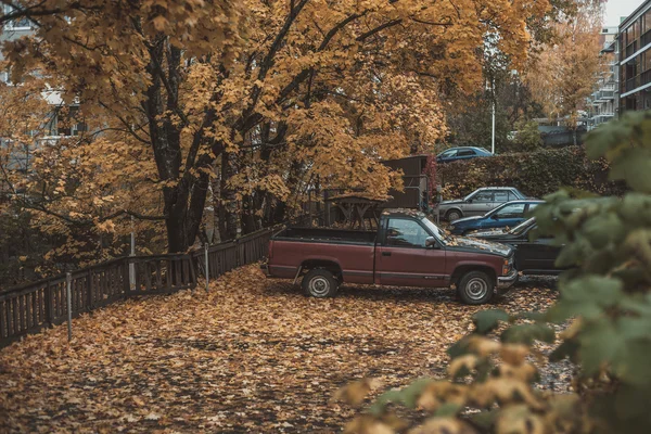 Cars in the yard in autumn