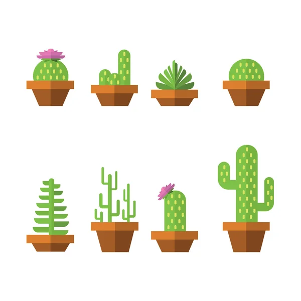 Düz succulents Icon set