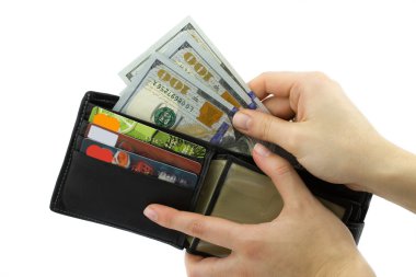 Kredi kartları ve dolar ile cüzdan
