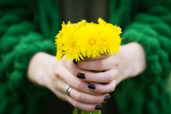 Flores de diente de león amarillo —  Fotos de Stock