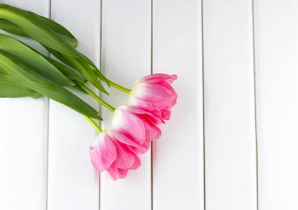 Tulipanes rosados sobre madera blanca —  Fotos de Stock