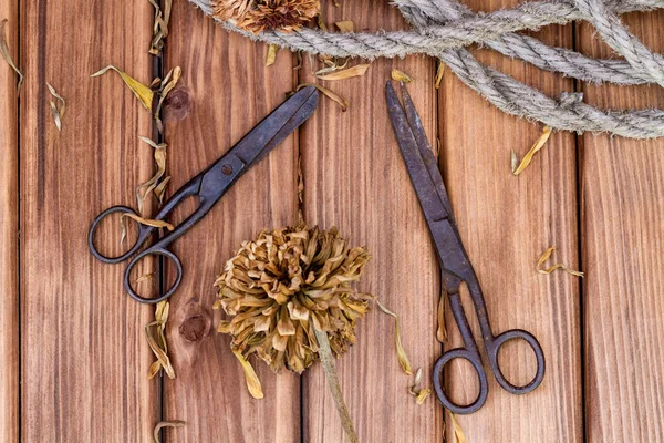 Vintage scissors and twine with flowers — Stock Photo, Image