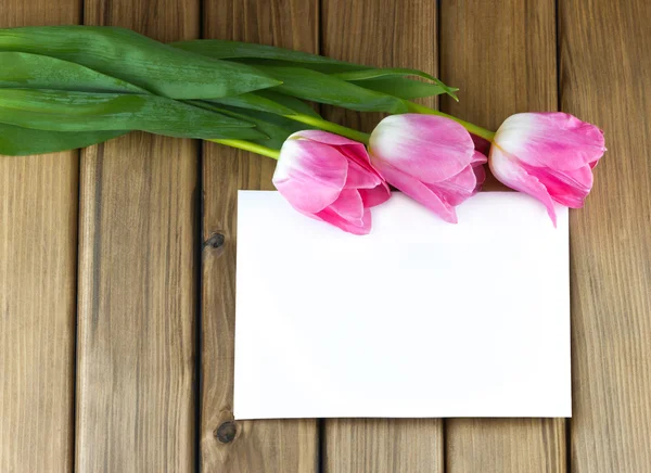 Pink tulips with white sheet of paper — Stock Photo, Image