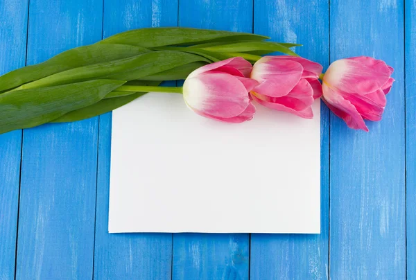 Tulipanes rosados con hoja de papel blanca —  Fotos de Stock