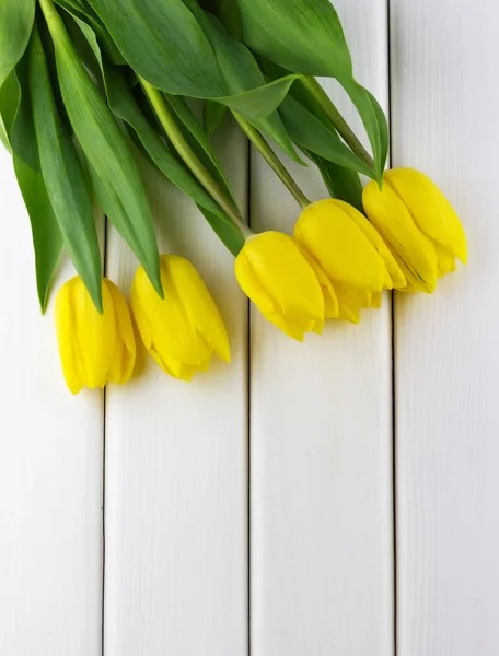 Tulipanes amarillos sobre blanco —  Fotos de Stock