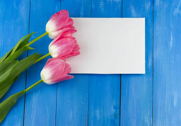 Tulipanes rosados con hoja de papel blanca —  Fotos de Stock