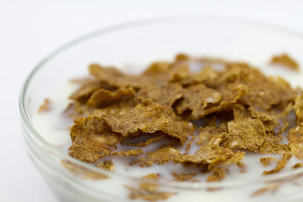 Close-up flakes and milk in a glass bowl — Stock Photo, Image