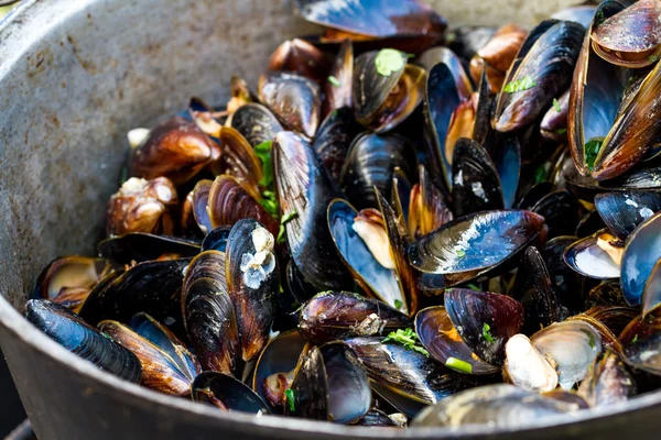 Foto Stock Cozza Immagini Cozza Royalty Free Depositphotos