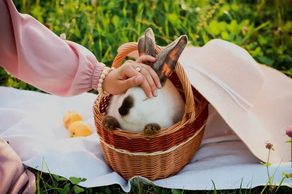 Кролик Плетеному Кошику Рука Жінки Лежить Поруч Капелюхом Полі — стокове фото
