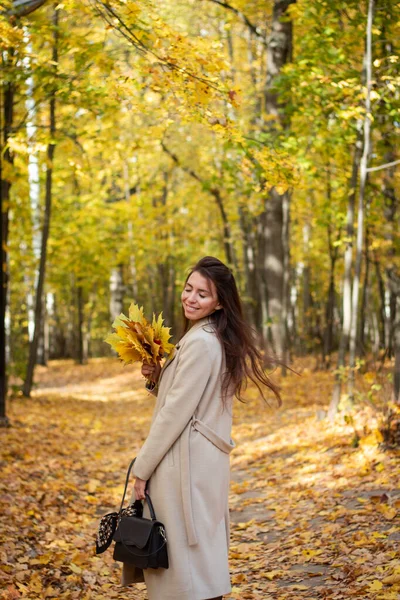 Donna Bruna Nel Parco Autunnale Foglie Autunnali Piccola Borsa Nera — Foto Stock