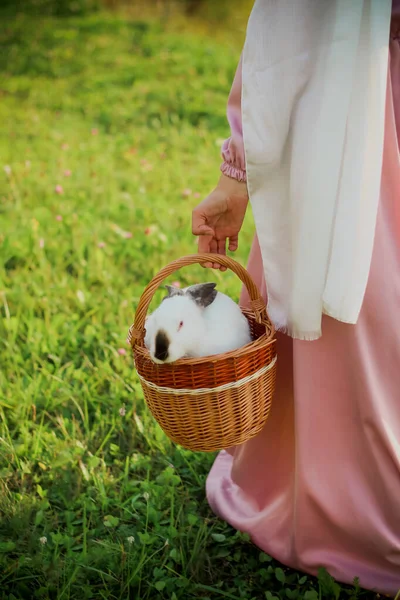 Мусульманська Жінка Хіджабі Йде Через Поле Кошиком Руках Кошику Кролик — стокове фото