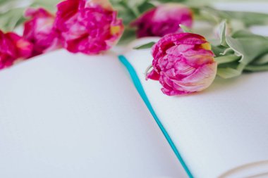 Beyaz arka planda laleleri olan mavi bir defter açtım. Eğitim kavramı.