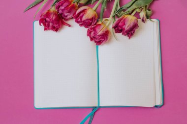 Pembe arka planda laleleri olan mavi bir defter açtım. Eğitim konsepti. Bahar.