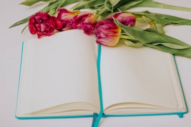 Beyaz arka planda laleleri olan mavi bir defter açtım. Eğitim kavramı.