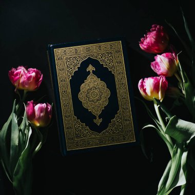 Kara arka planda Kur 'an aşkına. Pembe laleler. Sert ışık. Ramazan ayı. İslam kavramı. Din, İslam 'dır. Müslümanlar Kitabı