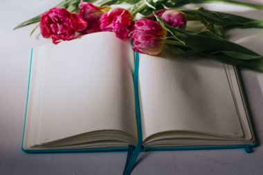 Beyaz arka planda laleleri olan mavi bir defter açtım. Eğitim kavramı.