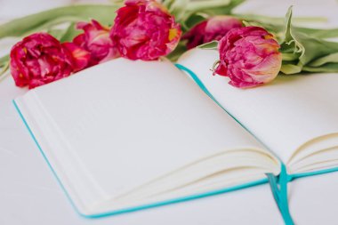 Beyaz arka planda laleleri olan mavi bir defter açtım. Eğitim kavramı.
