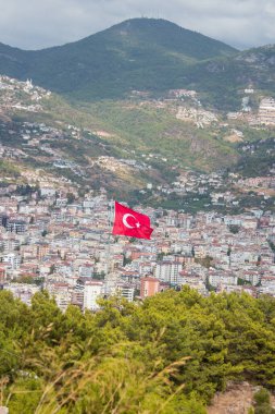 Ağaçlar ve dağlardan oluşan bir arka planda hindi bayrağı. Noel ağaçları