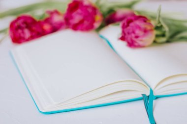 Beyaz arka planda laleleri olan mavi bir defter açtım. Eğitim kavramı.