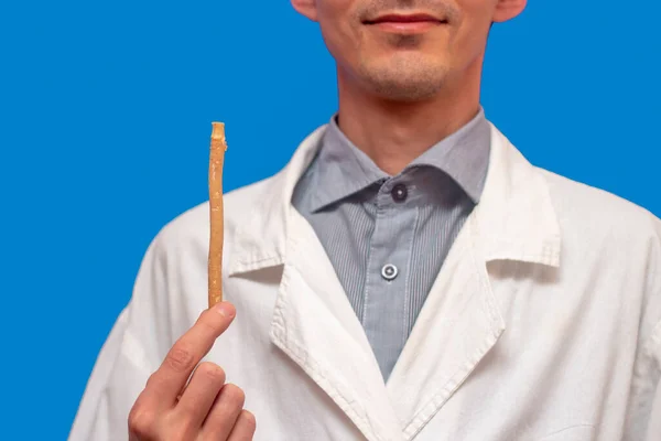 Genç bir adam beyaz önlüklü bir miswak (siwak) tutuyor. arak ağacı, Salvadora persica, sunnah. Mavi arkaplan