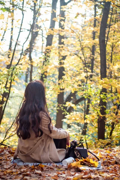 Esmer Bir Kadın Sonbahar Parkında Dizüstü Bilgisayarı Bir Fincan Kahveyle — Stok fotoğraf