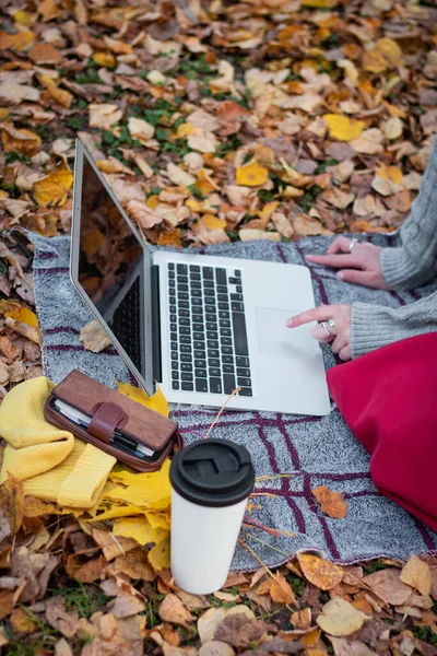 스웨터를 이슬람 노트북을 커피와 마십니다 대학생 스톡 이미지