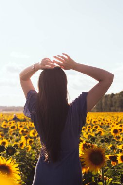 Ayçiçeği tarlasında mavi elbiseli esmer kadın. Güneşli bir gün. Arka plan