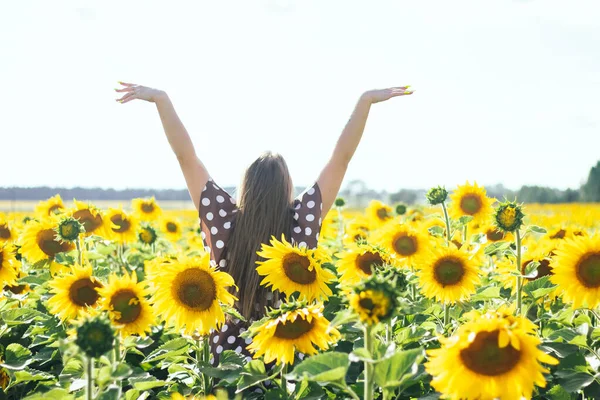 Mulher Vestido Com Bolinhas Campo Com Girassóis Plano Fechado Girassóis — Fotografia de Stock