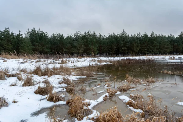 Paysage Hivernal Avec Lac Forestier Une Mystérieuse Forêt Brumeuse Lac — Photo