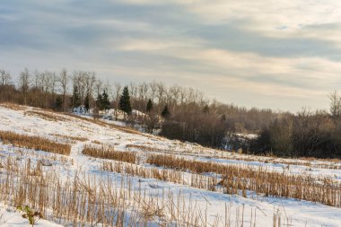 Tarla hasattan sonra karla kaplıdır. Kışın karlı yamaçlar ve tepeler. Kışın küçük bulutlarla açık bir gün