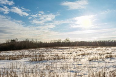 Güneşli Kış Gününde Boş Kırsal Arazi Tarlayı Kaplayan Kar, Doğanın Soyut Arkaplanı