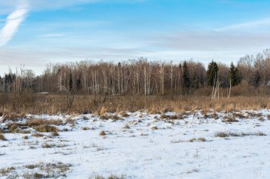 Kışın kuru otlarla, sazlıklarla, huş ağaçlarıyla ve kozalaklarla dolu bir bataklık. Mavi gökyüzü ve küçük bulutlarla güneşli bir kış günü. Tuhaf ağaçlarla kaplı kış manzarası