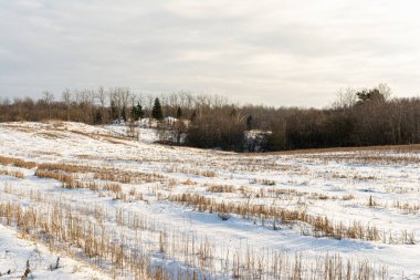 Tarla hasattan sonra karla kaplıdır. Kışın karlı yamaçlar ve tepeler. Kışın küçük bulutlarla açık bir gün