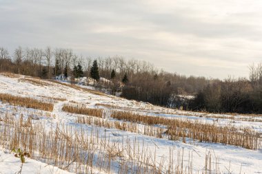 Tarla hasattan sonra karla kaplıdır. Kışın karlı yamaçlar ve tepeler. Kışın küçük bulutlarla açık bir gün