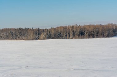 Beyaz karla kaplı tepe, ufukta, kar ve mavi gökyüzünün arka planında bir grup karanlık ağaç ya da orman var. Kış manzarası