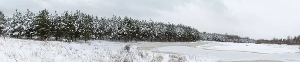 Vista Una Radura Nevosa Lago Congelato Foresta Conifere Tempesta Neve — Foto Stock