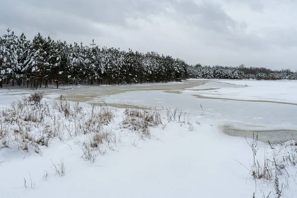 Vue Sur Déneigement Lac Gelé Forêt Conifères Tempête Neige Jour — Photo