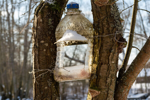 Big plastic bottle used as feeder for birds in winter