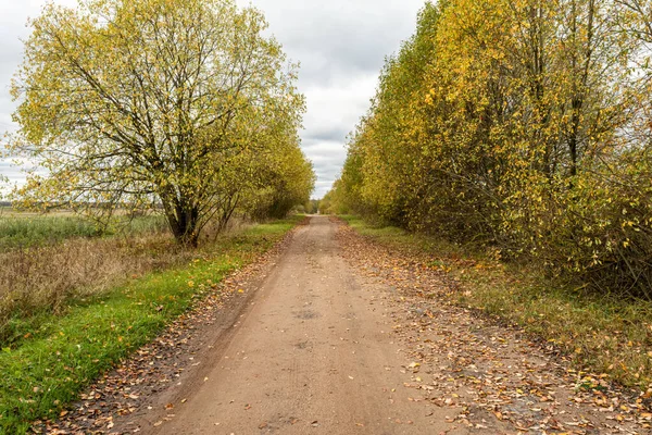 Beautiful Fall scene on curved unpaved road with colorful leaves on trees and in the road. Nature background