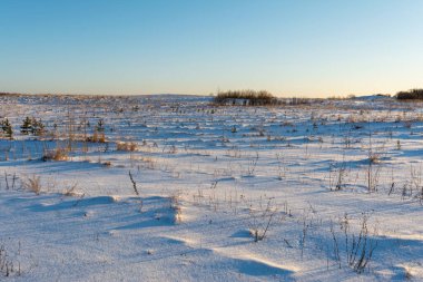 Kuru otlarla kaplı tarla karla kaplıdır. Tepe karının büyük gölgeleri. Akşamları açık mavi gökyüzü olan kış manzarası. Doğa arkaplanı