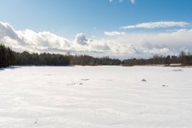 Ormanla çevrili karlı bir tarla. Açık mavi gökyüzü ve beyaz bulutlarla güneşli bir kış günü. Kış doğa manzarası