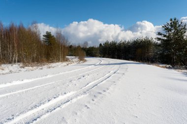 Araba izleri olan karlı orman yolu. Açık mavi gökyüzü ve beyaz bulutlarla güneşli bir kış günü. Kış doğa manzarası
