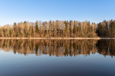 Mavi nehrin ve yüksek ağaçlı bankanın ön manzarası. Açık mavi gökyüzü ve ağaçlar suya yansıyor. Akşamları gölü olan bahar manzarası