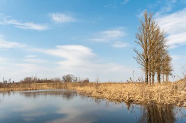 Küçük bir su kütlesi. Mavi gökyüzünün yansıması. Köyün yakınlarında bulutlar var. Gölün kıyısı eski sarı kuru otlarla kaplıdır ve bir sıra kavak yana doğru büyür. Güneşli bir bahar gününde doğa manzarası. Doğa arkaplanı