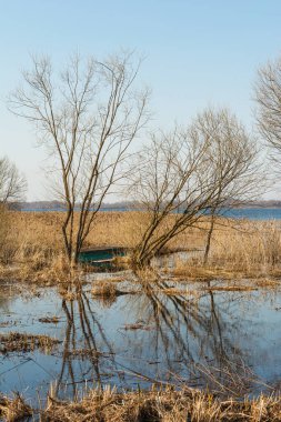 İlkbahar mavi gölü. Yaprakları olmayan ağaçlar çayırlarda suyla dolup taşar. Kuru otlarla kaplı bir gölün kıyısındaki suda devrilmiş ahşap bir tekne. Doğa arkaplanı
