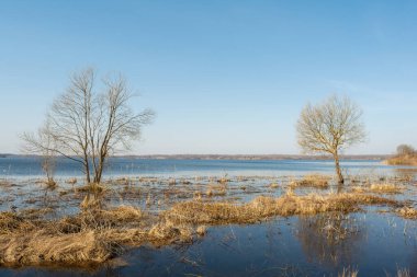 İlkbahar mavi gölü. Yaprakları olmayan ağaçlar çayırlarda suyla dolup taşar. Bir bahar gününde mavi gökyüzü ve suyla güzel bir manzara. Doğa arkaplanı