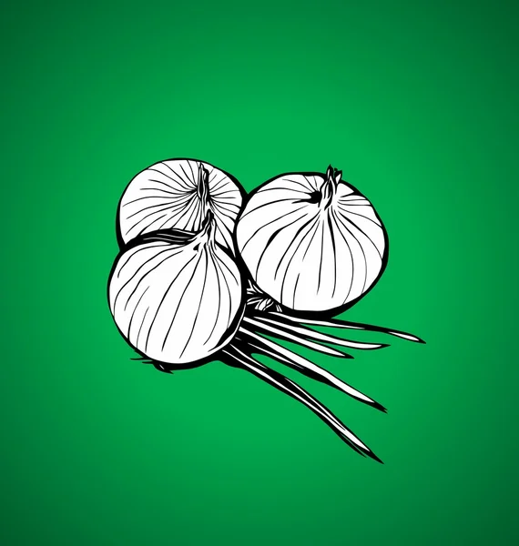 Cebollas — Vector de stock