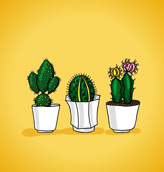 Dekoratív cserepes kaktusz — Stock Vector